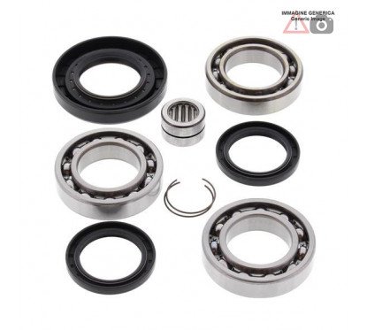 Rear differential bearing and oil seal kit  25-2079 ALL BALLS