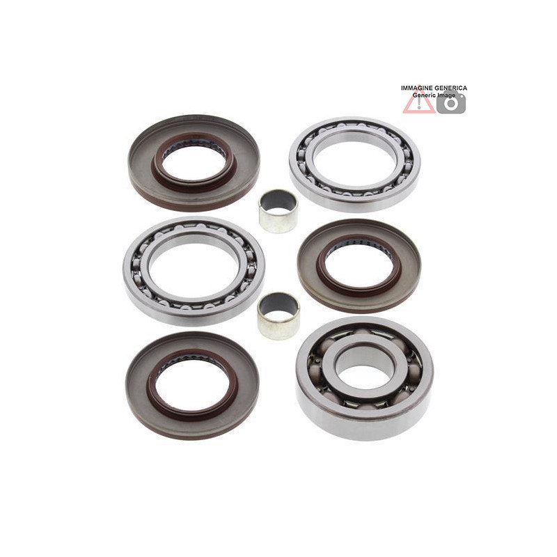 Rear differential bearing and oil seal kit  25-2081 ALL BALLS