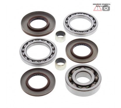 Rear differential bearing and oil seal kit  25-2081 ALL BALLS