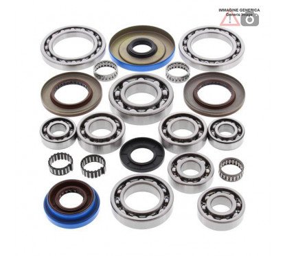 Rear differential bearing and oil seal kit  25-2084 ALL BALLS