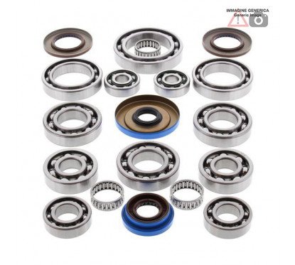 Rear differential bearing and oil seal kit  25-2085 ALL BALLS