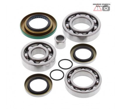 Rear differential bearing and oil seal kit  25-2086 ALL BALLS