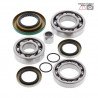 Rear differential bearing and oil seal kit  25-2086 ALL BALLS