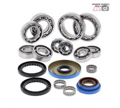 Rear differential bearing and oil seal kit  25-2087 ALL BALLS