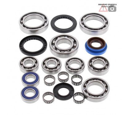 Rear differential bearing and oil seal kit  25-2089 ALL BALLS