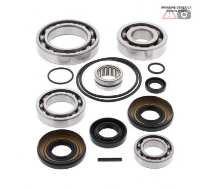 Rear differential bearing and oil seal kit  25-2091 ALL BALLS