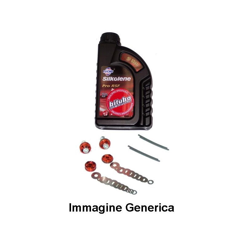 kit pistoni e lamelle per forcelle originali - KFORK037 BITUBO