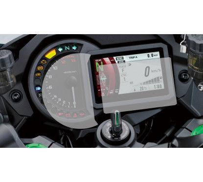 Instrument Cluster Protector BMW G310R/GS 2017- EAZI-GRIP